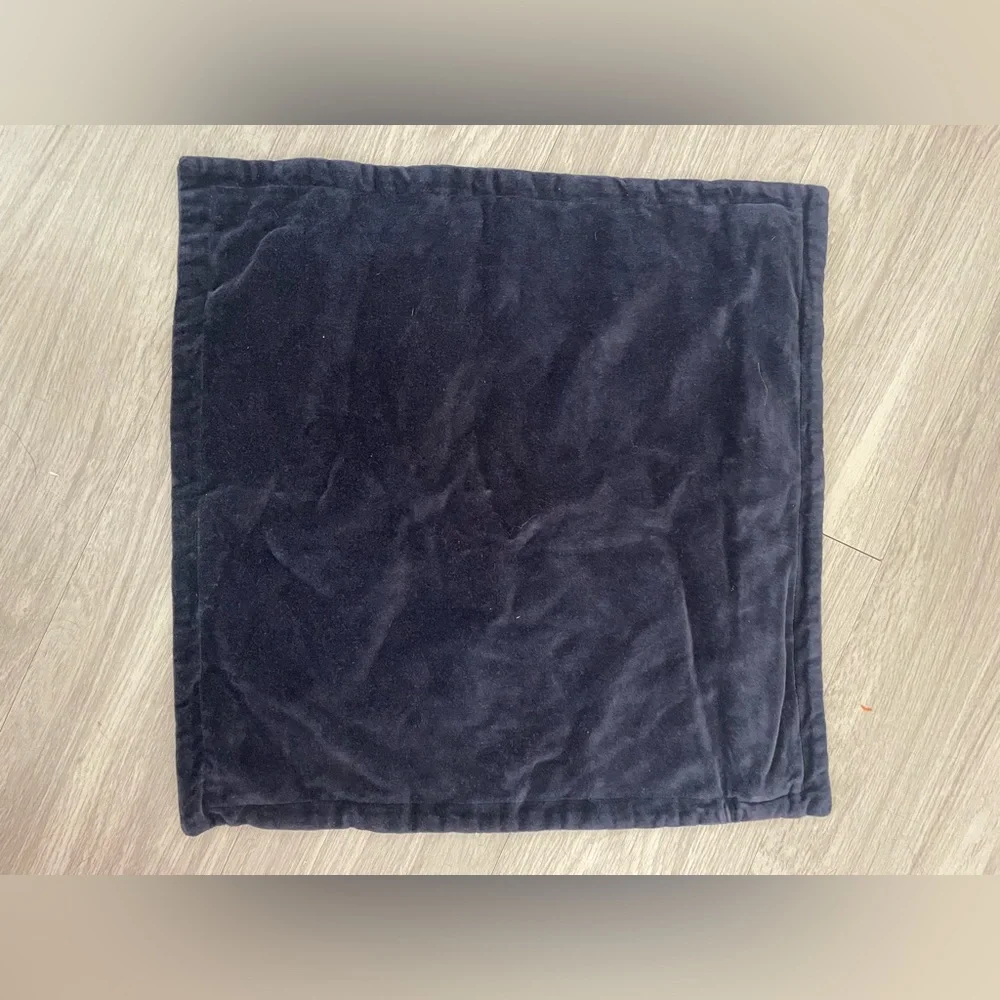 Pier 1 Navy Blue Velvet Throw pillow case